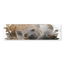 Hyena Picture Bumper Sticker