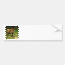 Hyena Prowl Bumper Stickers