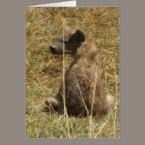 Hyena Pup cards