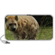 Hyena Speakers