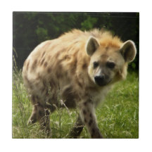 Hyena Tile