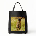 Hyena with wildebeest (gnu) bag