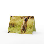 Hyena with wildebeest (gnu) card