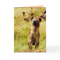 Hyena with wildebeest (gnu) card (add wording)