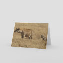 Hyenas cards by spuga2000 Hyenas cards