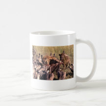 Hyena's prey with vultures mugs