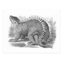 Hyleosaurus Antique Print postcards