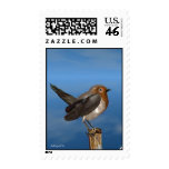 HYPER BIRDS / ROBIN RED BREAST postage