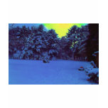 Hyper Color Winter Tee Shirts