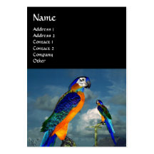 HYPER PARROTS / BLUE ARA BUSINESS CARD TEMPLATE