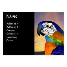 HYPER PARROTS / BLUE ARA BUSINESS CARD TEMPLATES