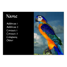 HYPER PARROTS / BLUE ARA BUSINESS CARDS