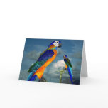 HYPER PARROTS / BLUE ARA GREETING CARD