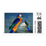 HYPER PARROTS / BLUE ARA postage