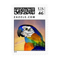 HYPER PARROTS POSTAGE STAMP