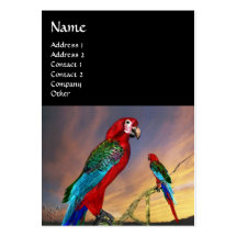 HYPER PARROTS / RED ARA ,black Business Card Templates