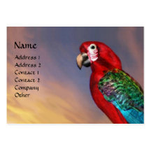 HYPER PARROTS / RED ARA BUSINESS CARD TEMPLATE