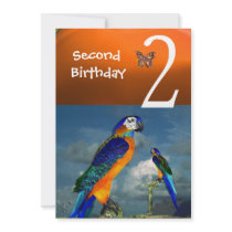 HYPER PARROTS / Second Birthday Party Orange Blue Custom Invites