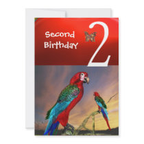 HYPER PARROTS / Second Birthday Party Red Ruby Announcement