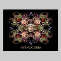 Hypnogoria postcard postcards