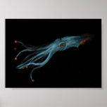 Hypothetical Squid posters