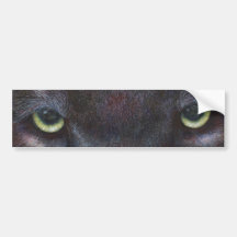 Hyptnotist Eyes Bumper Stickers