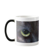 Hyptnotist Eyes mugs