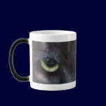 Hyptnotist Eyes mugs
