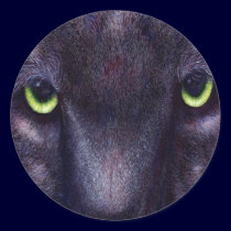 Hyptnotist Stickers
