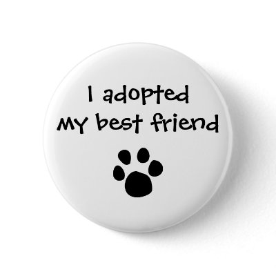 "I adopted my best friend" Flair by The Ashes Pins by ashleykerekes