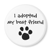 "I adopted my best friend"  Magnet by The Ashes