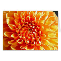 I Adore Dahlias, My Dear Darling cards by buckaroostyle I Adore Dahlias, My Dear Darling cards