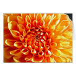 I Adore Dahlias, My Dear Darling cards