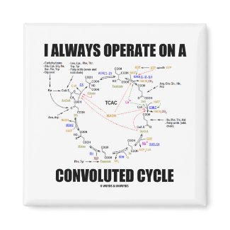 I Always Operate On A Convoluted Cycle (Krebs) magnet