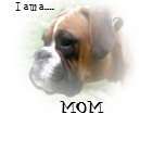 I Am A Boxer Mom Shirt