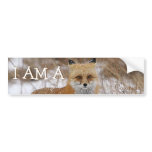 I Am A Fox Bumper Sticker
