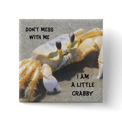 I Am A Little Crabby Pin by femsista