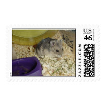 I am a Movie Star! postage by trixster1968 I am a Movie Star! postage