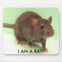 I AM A RAT! mousepads by knorine I AM A RAT! mousepads