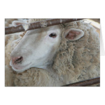 I am a Sheep! cards by AAAAG0 I am a Sheep! cards
