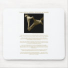 standard_mousepad - These are the hands of real social worker Peg Leonard-Martin. The following quote is on all items in the I Am A Social Worker Section; I will use these hands to further my belief in the core value of service. They will help people in need and address social problems. I will use these hands to advance social justice. They will challenge issues of poverty, unemployment, discrimination and other forms of social injustice. I will use these hands to promote the dignity and worth of the person. They will seek to broaden clients’ and society’s interests in a socially responsible manner. I will use these hands to teach the importance of human relationships. They will engage people as partners in the helping process and convey the importance of relationships as a vehicle for change. I will use these hands to hold fast to my integrity. They will convey my trustworthiness, honesty and responsibility. I will use these hands to ensure competence. They will strive both to increase my personal knowledge and contribute to the knowledge of others.