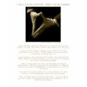 I Am A Social Worker, These Are My Hands ! t-shirts by SocialWorkArt I Am A Social Worker, These Are My Hands ! t-shirts