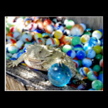 I Am A Straight Shooter --- "Marble Time" postcards