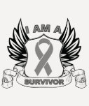 I am a Survivor - Brain Cancer t-shirts