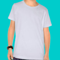 I am a twins and big brother to twins t-shirts