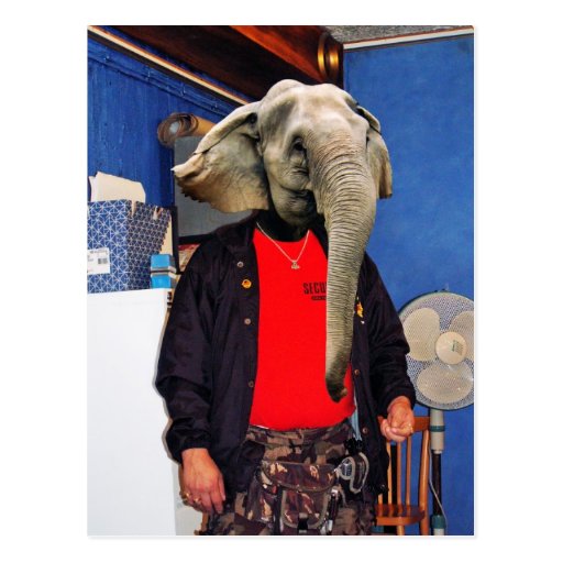 I am all ears postcard | Zazzle