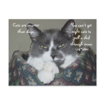 I Am Cat... postcards by archemedes I Am Cat... postcards