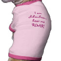 I am chihuahua....hear me ROAR! pet clothing