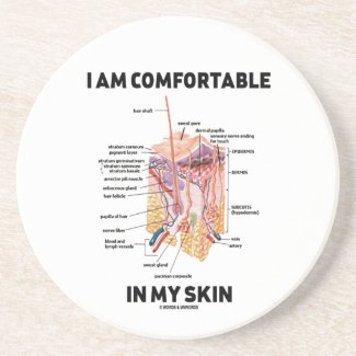 I Am Comfortable In My Skin (Dermal Layers) Beverage Coaster