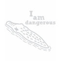 I am dangerous t-shirts by PencilPlus I am dangerous t-shirts